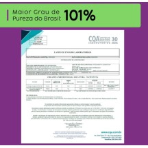 Creatina Premium Pura Micronizada Aumento e Ganho de Força 500g com Laudo