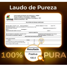 Creatina Premium Pura Monohidratada + Q10 Aumento e Ganho de Força 300g