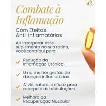 Omega 3 Tripla Fonte Reduzir Triglicerídeos 20mg EPA 13mg DHA 120 Capsulas