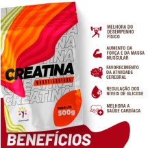 Creatina Premium Pura Monohidratada Aumento e Ganho de Força 500g