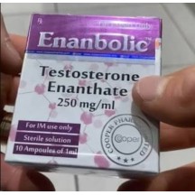 Enantato de Testosterona (Enanthate Testosterone) Cooper 250mg 10 Ampolas 1ml