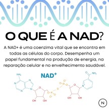 Synedica Retratutide 40mg Solucao Injetavel 4 doses (Importada Retratutida) - Caixa AZUL
